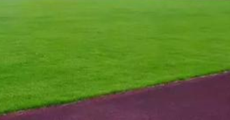 四川电大直属龙泉分院「电大」