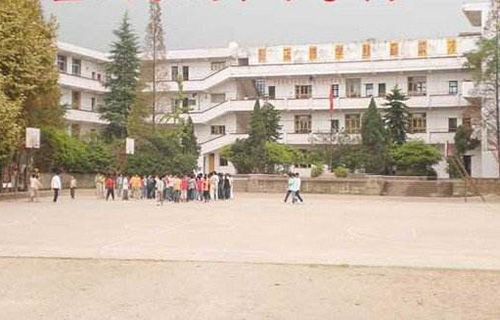 垫江县太平中学校