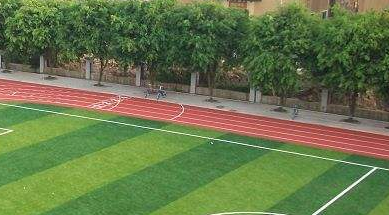 四川电大直属学院蒲江教学点「电大」
