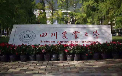 四川农业大学远程与继续教育学院
