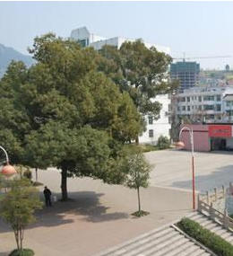 黔江区南海初级中学校