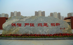 武清区杨村一中