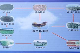 循环农业生产与管理