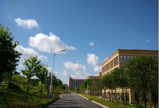 重庆电信职业学院自考学院