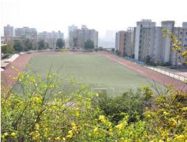 绵竹市兴隆镇中学校