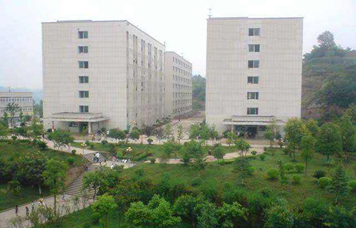 新艺中学