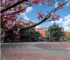绵竹市什地镇学校