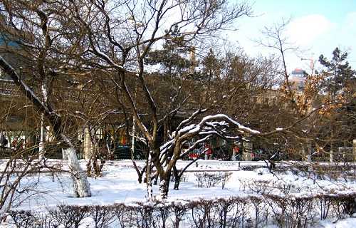 哈尔滨工业大学网络教育学院