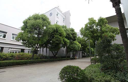 泗阳县洋河第三中学