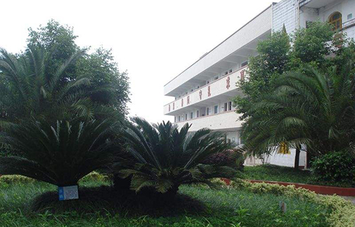 垫江县沙河学校