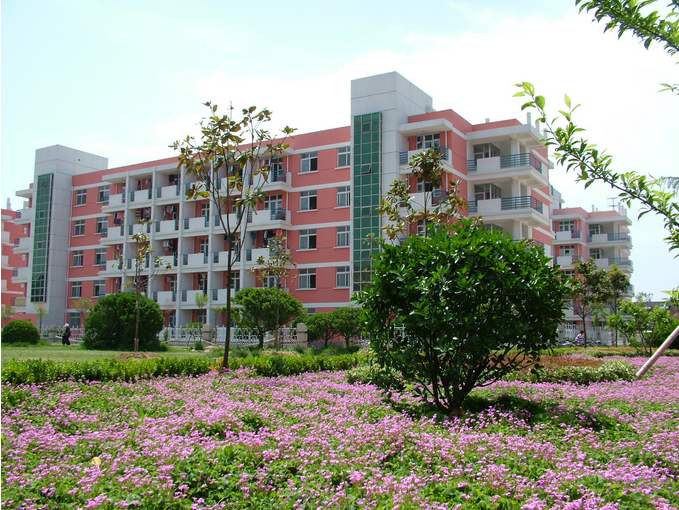 安州区广播电视大学 「电大」