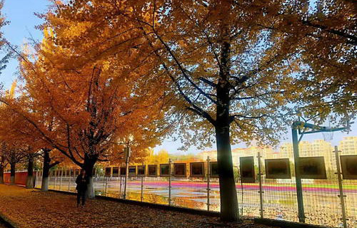 辽东学院继续教育学院