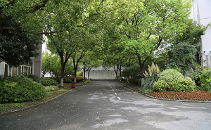 上海市古美中学