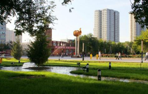 新疆大学自考