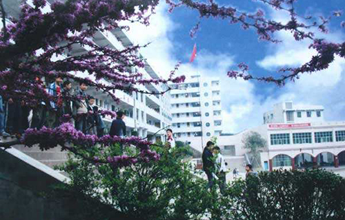 潼南县小渡初级中学校