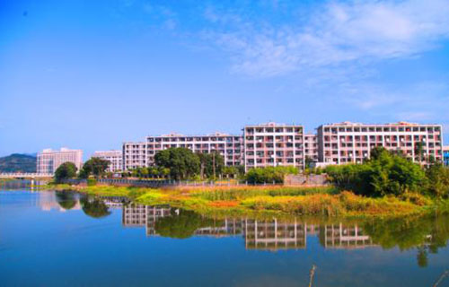 闽南师范大学自考