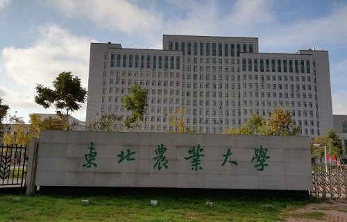 东北农业大学网络教育学院