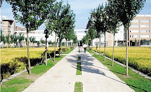南充广播电视大学南部县分校「电大」