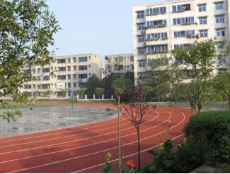 四川省成都市大面中学