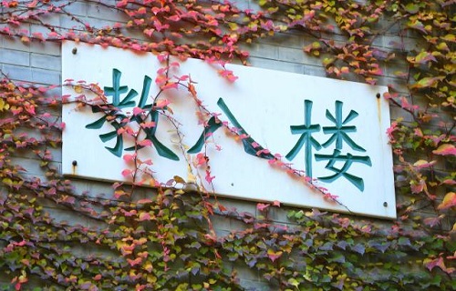 北京师范大学网络教育学院