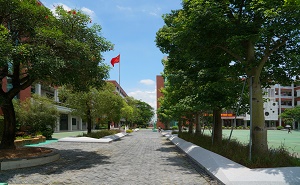 东莞市石龙中学