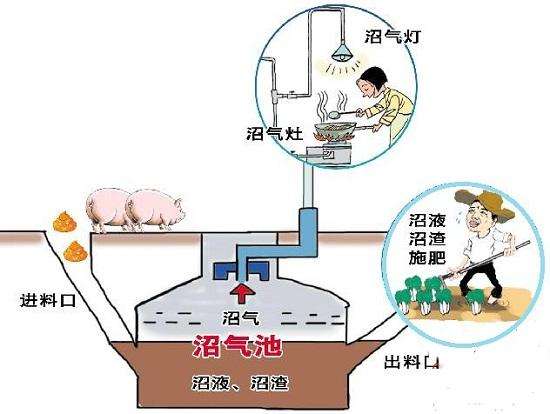 太阳能与沼气技术利用专业