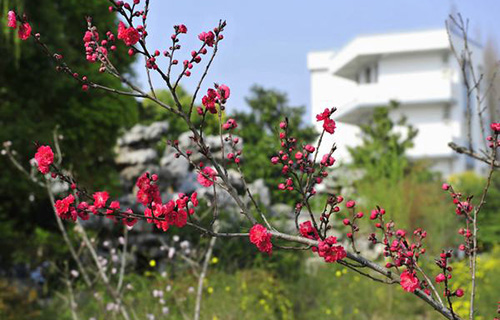 凯里市黄冈实验学校