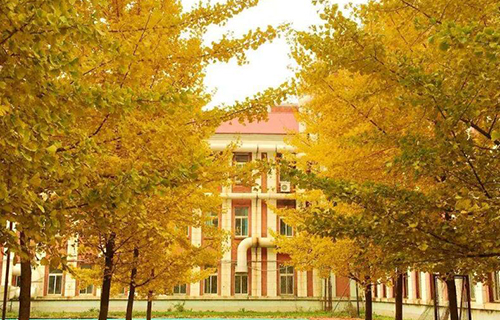 沈阳农业大学自考