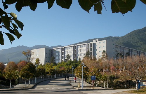 大理大学自考