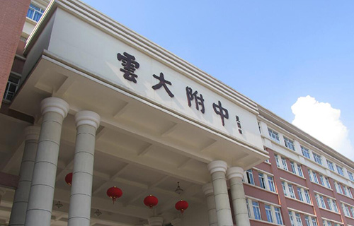 云南大学附属中学