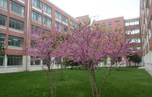 上海杉达学院继续教育学院