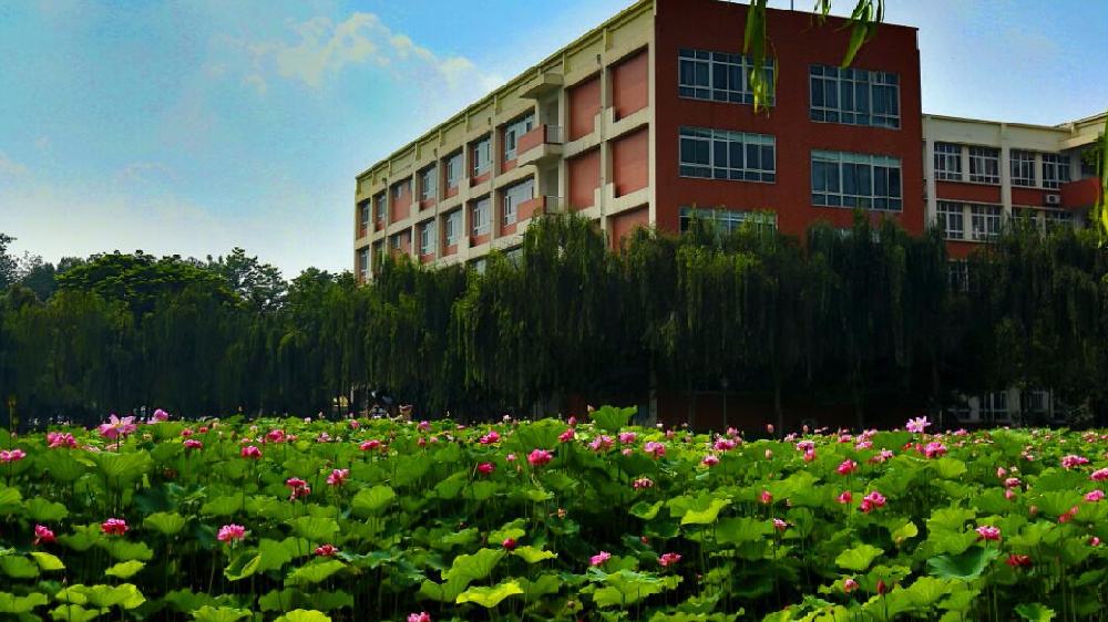 四川传媒学院自考