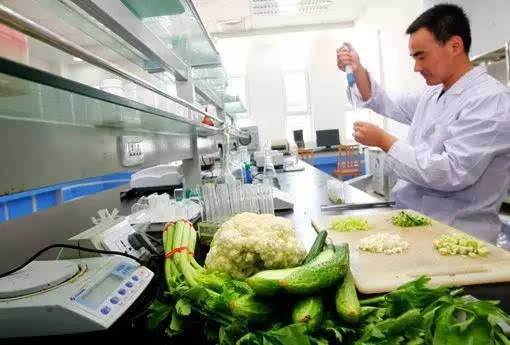 食品加工技术专业