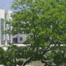合川市肖家中学