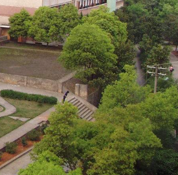 四川电大直属金牛学院 「电大」