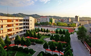 上海市高境第一中学