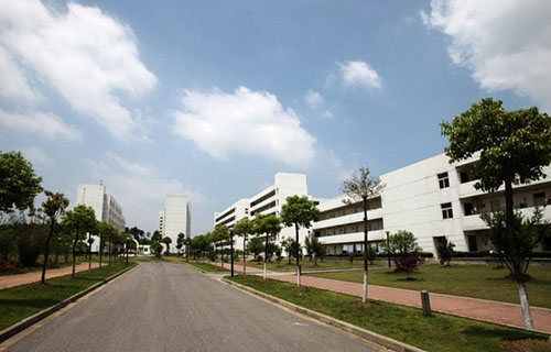 资阳广播电视大学安岳工作站「电大」