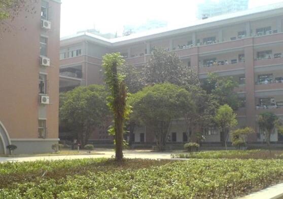 武汉大学附属中学