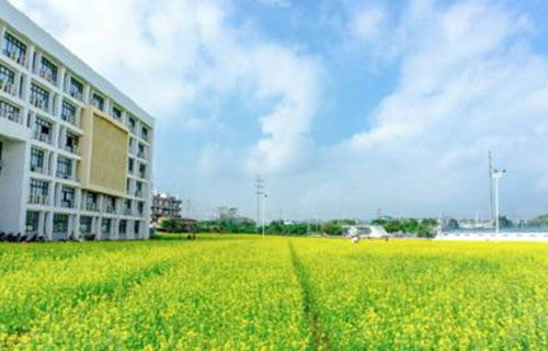 广西财经学院继续教育学院