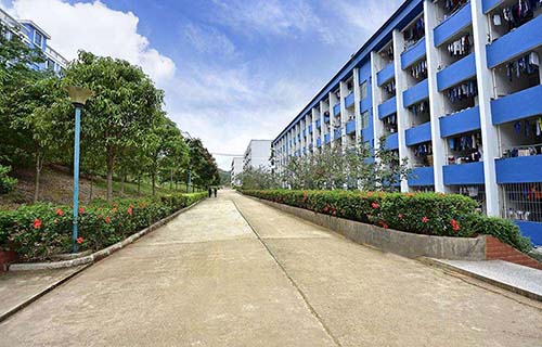 稻城县广播电视大学「电大」