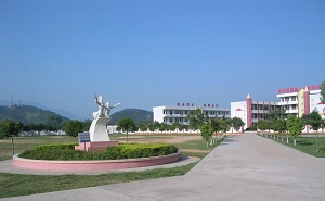 怀集县岗坪镇东中学