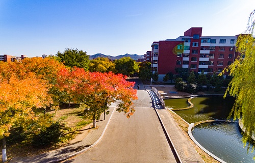 山东科技大学自考