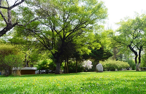青海大学自考