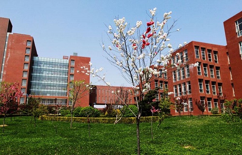 中国农业大学网络教育学院