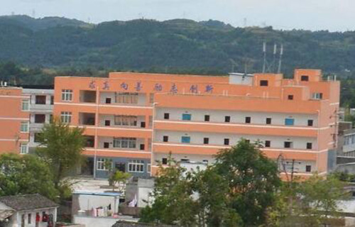 三台县东塔镇初级中学校