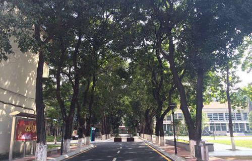 贵州省纳雍县沙包乡沙包中学