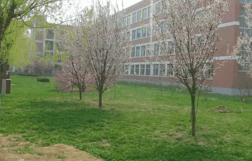 贵阳市建材机械厂子第学校