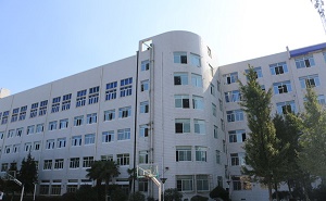 麓山国际实验学校（高中部）