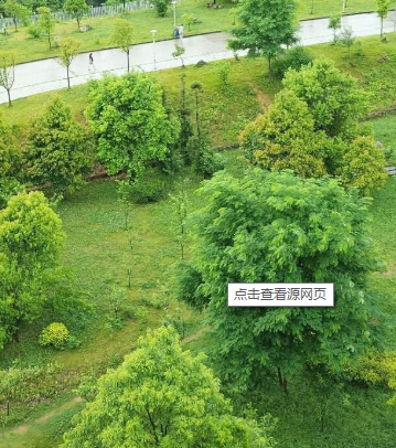 贵阳市南明区曜久学校