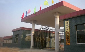 安仁县龙市中学